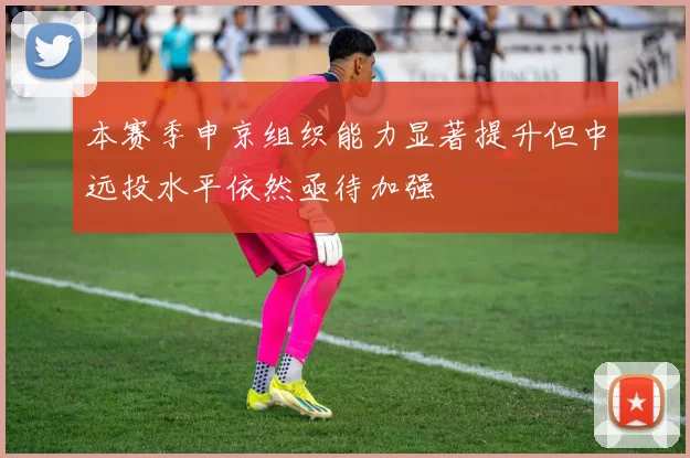 本赛季申京组织能力显著提升但中远投水平依然亟待加强